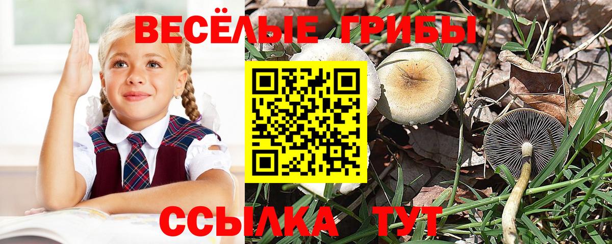 Псилоцибиновые грибы мухоморы  Вход с VPN  Ипатово 